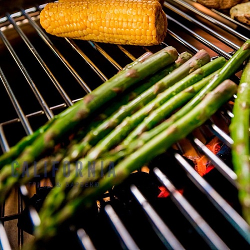 Угольный гриль Dancook 1400 Угольный гриль Dancook 1400