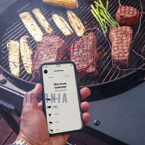 Термометр Weber iGrill 2 цифровой Термометр Weber iGrill 2 цифровой