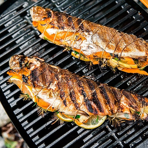 Газовый гриль Weber Q1200 черный Газовый гриль Weber Q1200 черный