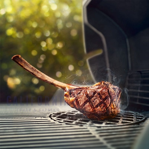 Газовый гриль Weber Genesis II EX-335 GBS черный (с конфоркой) Газовый гриль Weber Genesis II EX-335 GBS черный (с конфоркой)