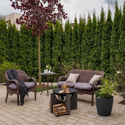 Чаша для костра чугунная Concretika PREMIUM S60 (на высоком основании) Чаша для костра чугунная Concretika PREMIUM S60 (на высоком основании)