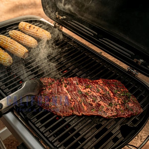 Газовый портативный гриль Weber Traveler черный Газовый портативный гриль Weber Traveler черный