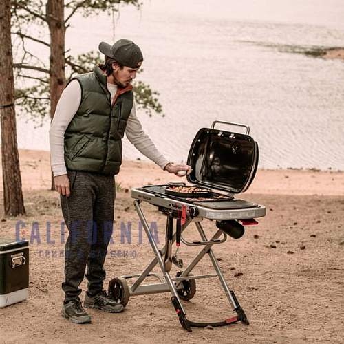 Газовый портативный гриль Weber Traveler черный Газовый портативный гриль Weber Traveler черный