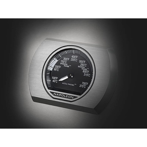 Газовый гриль Napoleon Rogue-625 XT стальной (с ИК горелкой 2/3) Газовый гриль Napoleon Rogue-625 XT стальной (с ИК горелкой 2/3)