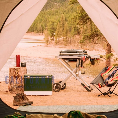 Газовый портативный гриль Weber Traveler черный Газовый портативный гриль Weber Traveler черный