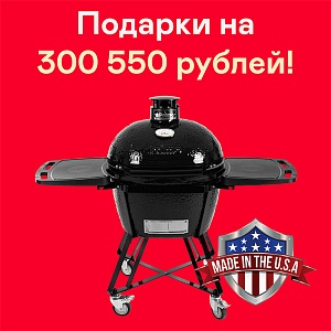 Керамический гриль Primo OVAL 300 (FAMILY) All in One Керамический гриль Primo OVAL 300 (FAMILY) All in One